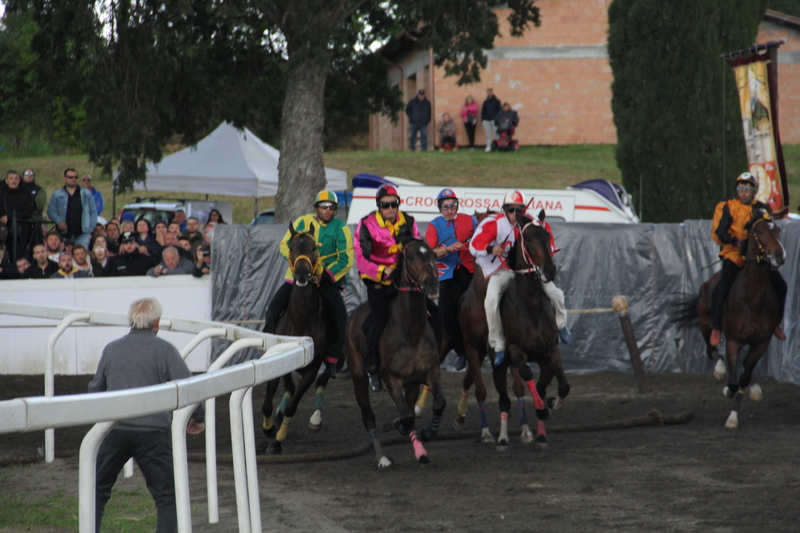 Palio Sant'Anselmo 2024