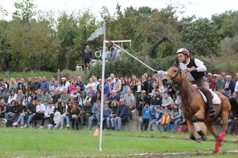 Palio 2024 Sagra Castagne - Soriano nel Cimino 