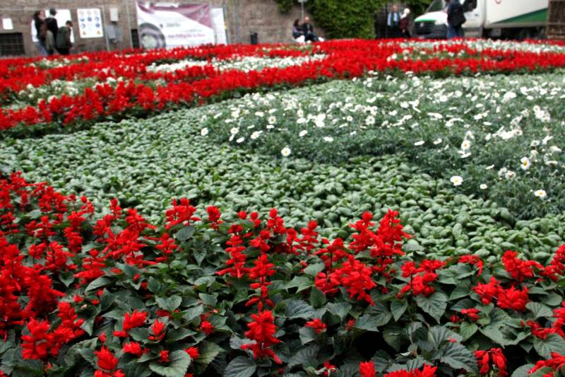 San Pellegrino in fiore