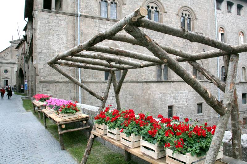 San Pellegrino in fiore