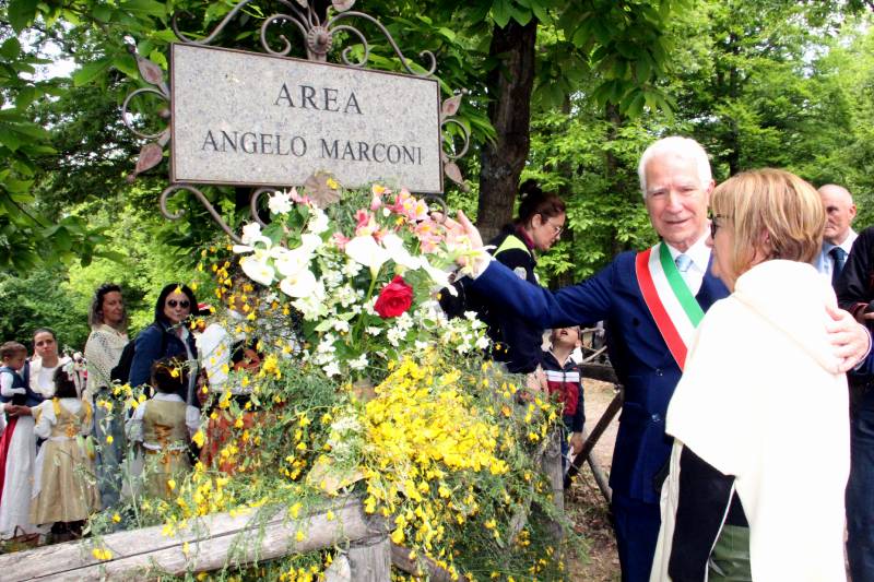 Sposalizio dell'Albero
