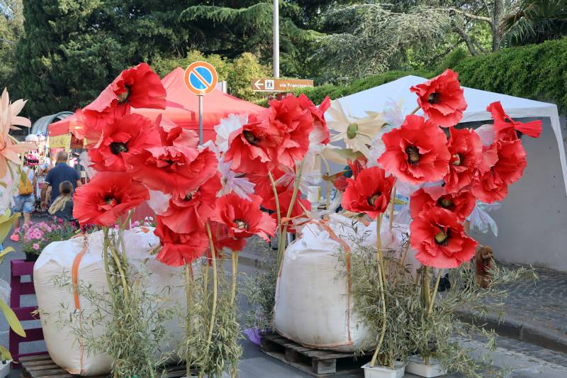 Fiori alla finestra cene in piazza 2025 - Vetralla