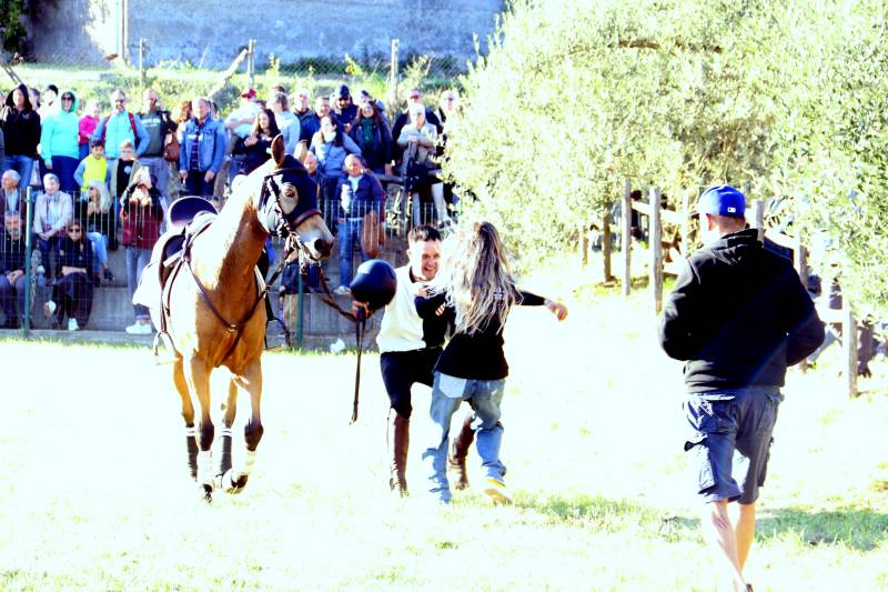 Sagra delle Castagne - Palio
