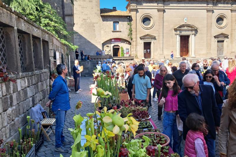 San Pellegrino in fiore 2025