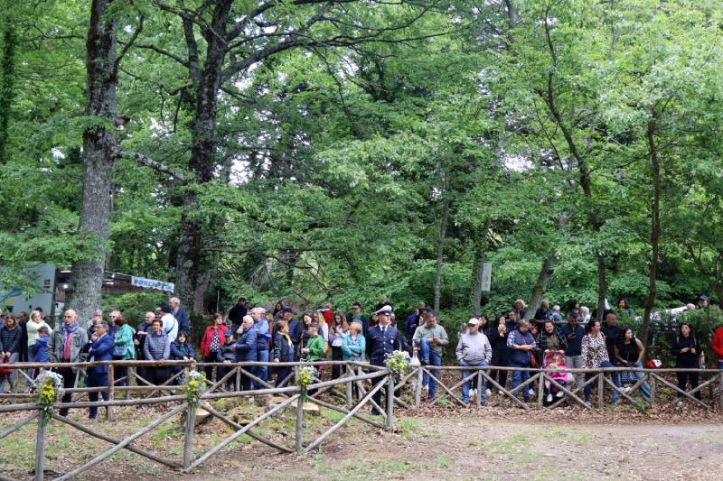 Vetralla Sposalizio dell'albero