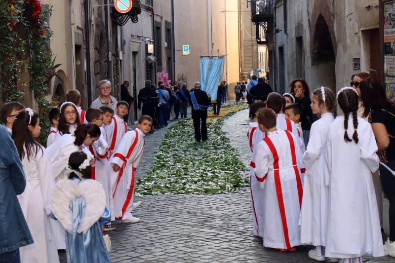 Vetralla in fiore - Vie Giubileo - Madonnna Carmelo