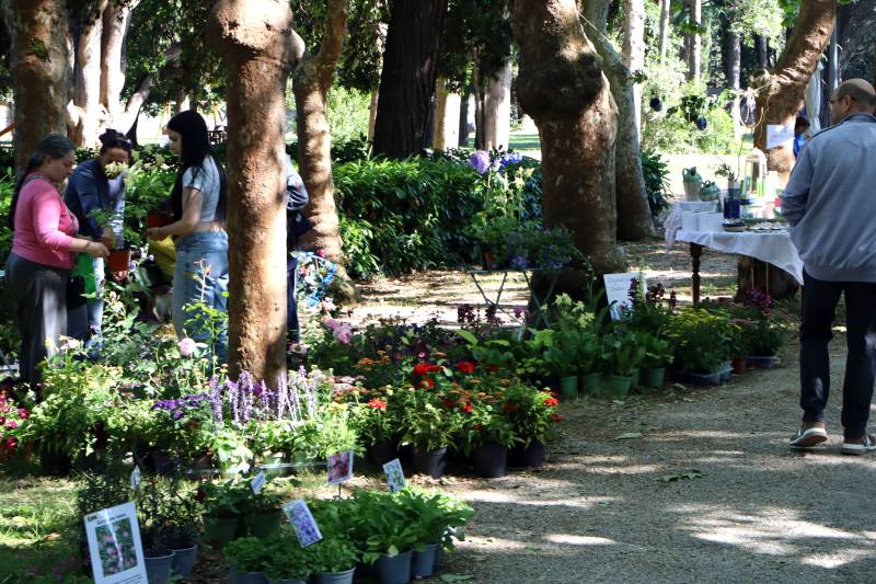 Vetralla in fiore - Vie Giubileo - Madonnna Carmelo