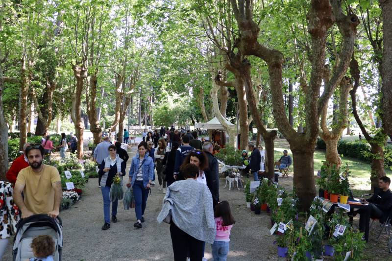 Vetralla in fiore - Vie Giubileo - Madonnna Carmelo