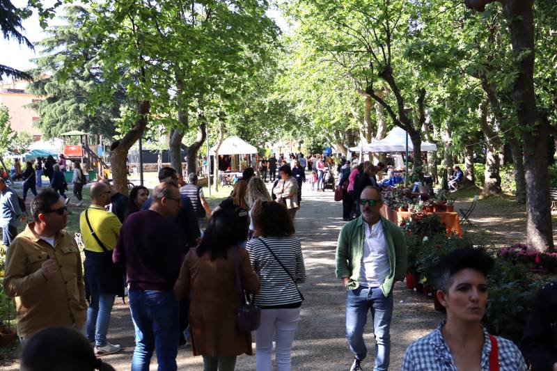 Vetralla in fiore - Vie Giubileo - Madonnna Carmelo