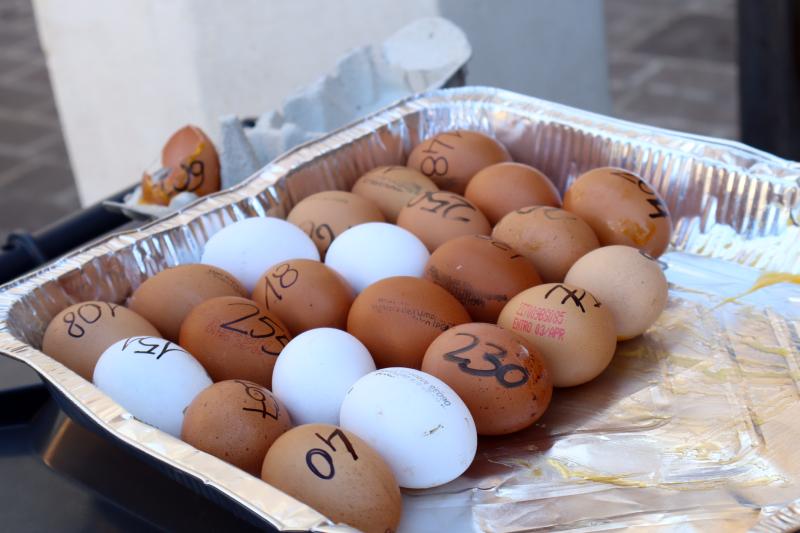 Pasquetta a Montefalco (Pg)