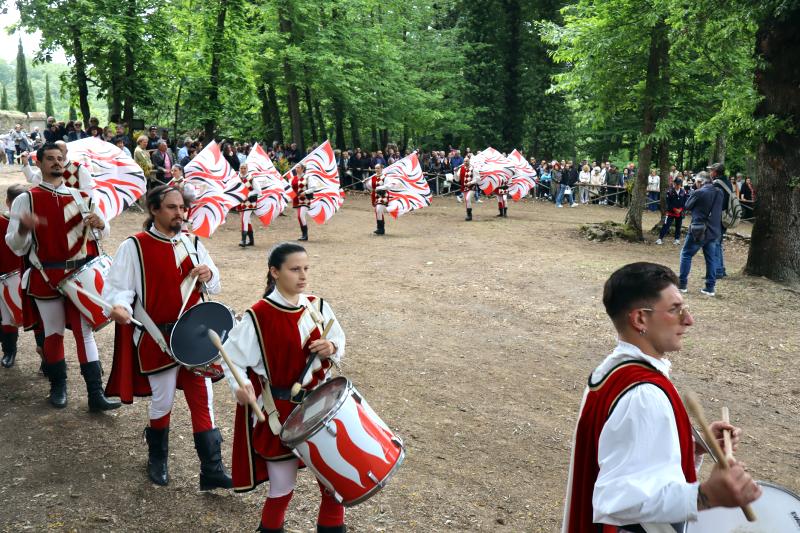 Sposalizio dell'Albero - Vetralla