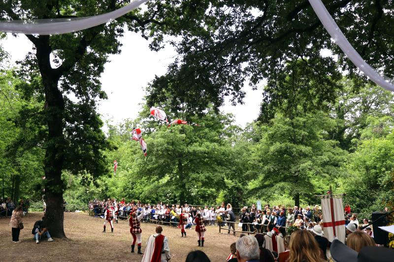 Sposalizio dell'Albero - Vetralla