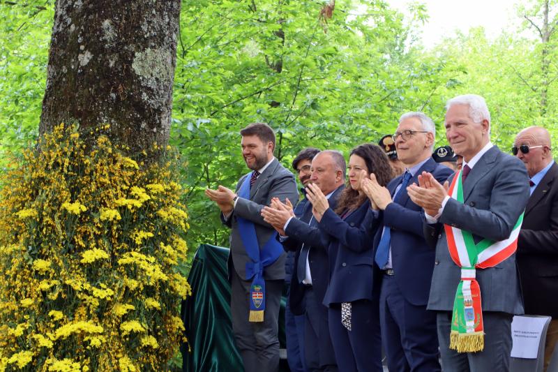 Sposalizio dell'Albero - Vetralla