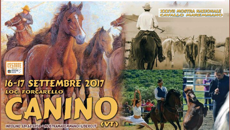 La locandina della Mostra del Cavallo Maremmano