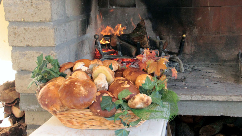 Porcini freschi pronti da cucinare